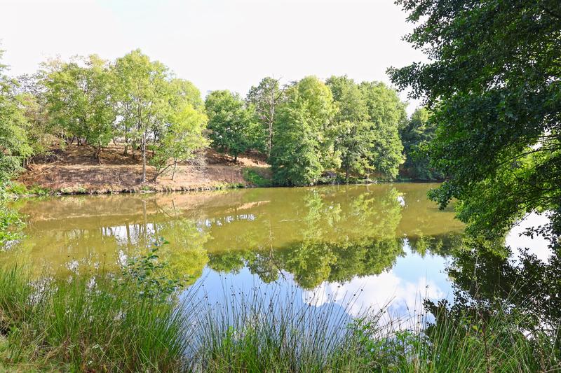 Maison - 373 m² - 14 pièces