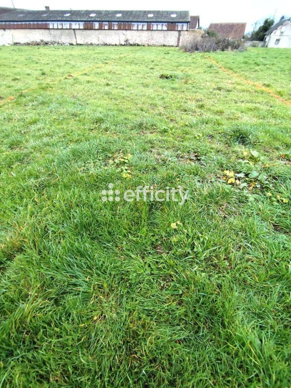 Bureau - 81 m² - 1 pièce