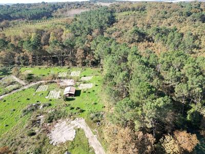 Terrain - 31 811 m²