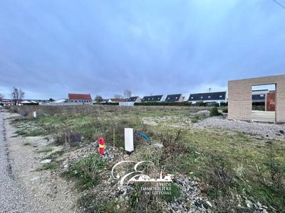 Terrain constructible