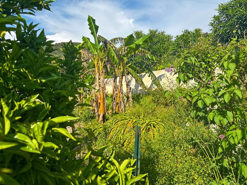 Maison - 120 m² - 3 pièces