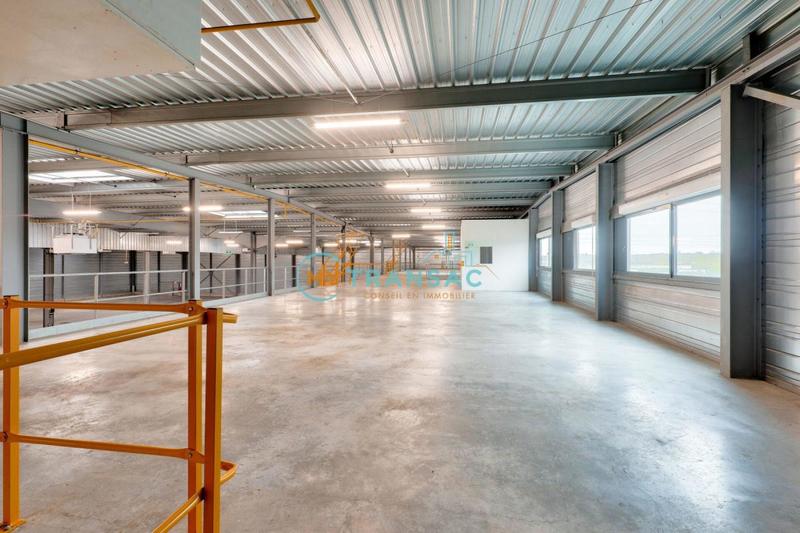 Local d'activité / Entrepôt - 3 668 m²