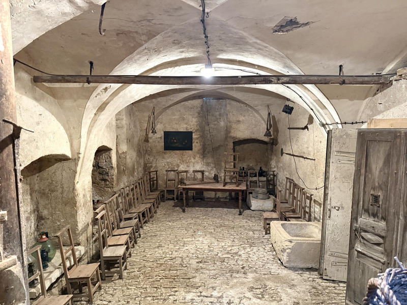 Viager - Maison - 264 m² - 13 pièces