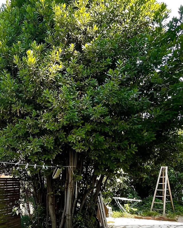 Maison - 95 m² - 6 pièces