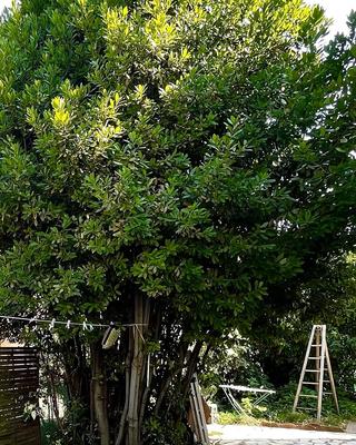 Maison - 95 m² - 6 pièces