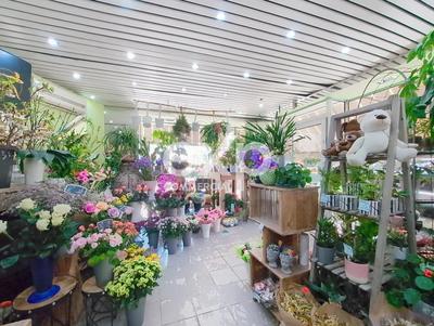 Magasins - 57 m² - 7 pièces