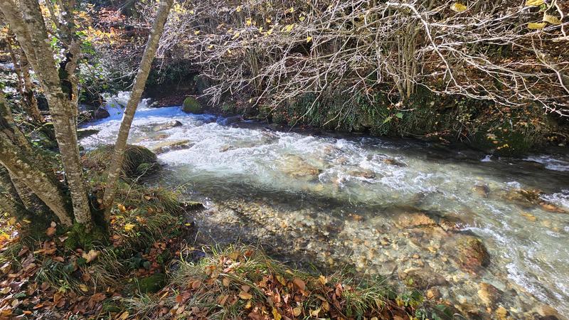 Grange - 277 m² - 4 pièces