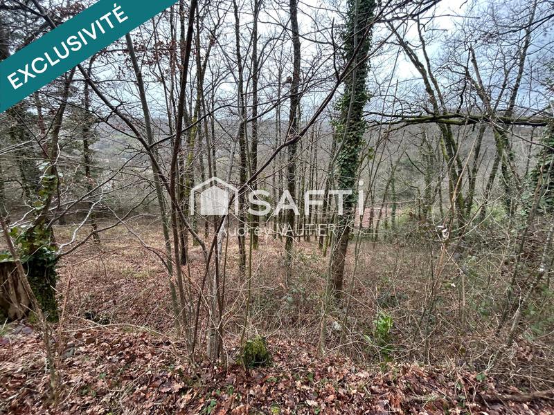 Terrain agricole - 7 980 m²