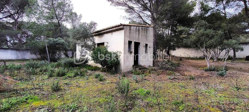 Propriété - 127 m² - 4 pièces