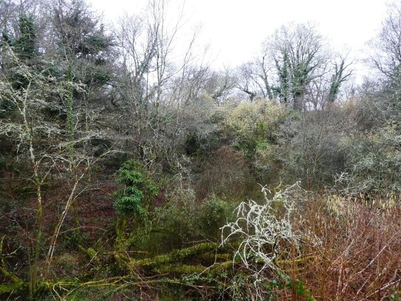 Terrain agricole - 13 922 m²