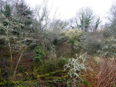 Terrain agricole - 13 922 m²