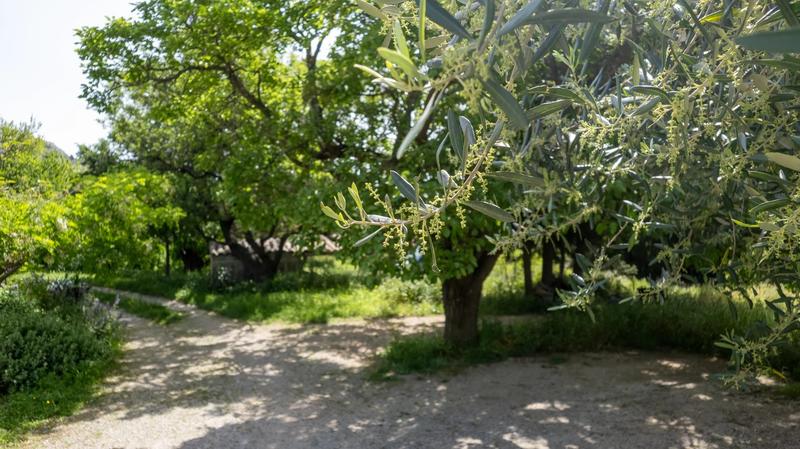 Propriété - 700 m²