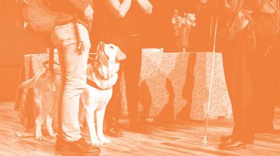 Visite tactile et sonore