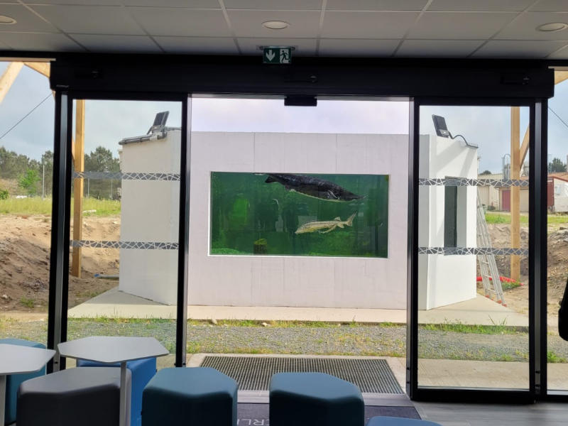 Visite privilège de l'Esturgeonnière