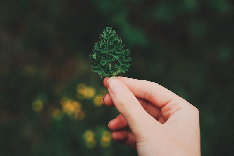 Atelier : créé ton fétiche !