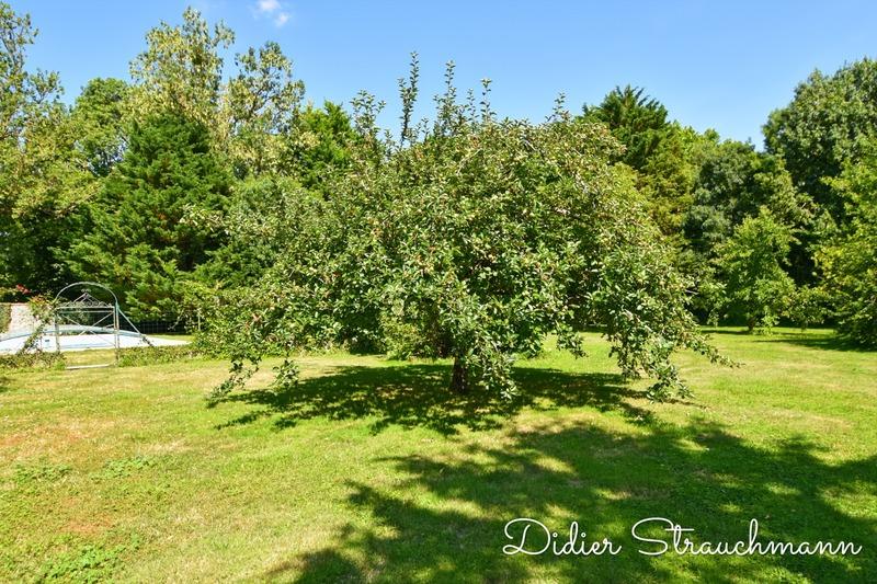 Maison - 200 m² - 7 pièces