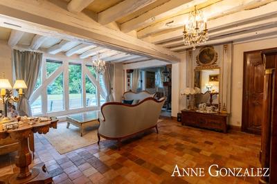 Propriété - 295 m² - 9 pièces