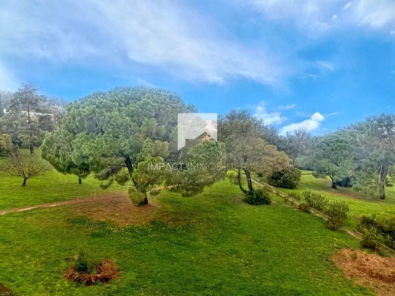 Appartement - 22 m² - 1 pièce