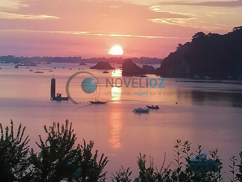 Viager - Maison - 90 m² - 5 pièces