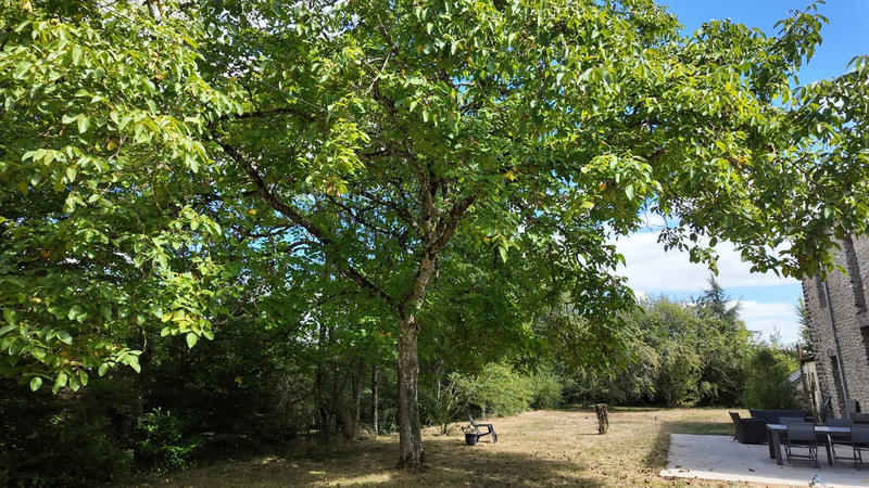 Ferme - 215 m² - 8 pièces