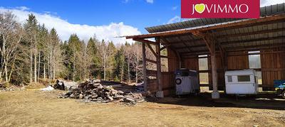 Magasins - 3 200 m² - 1 pièce