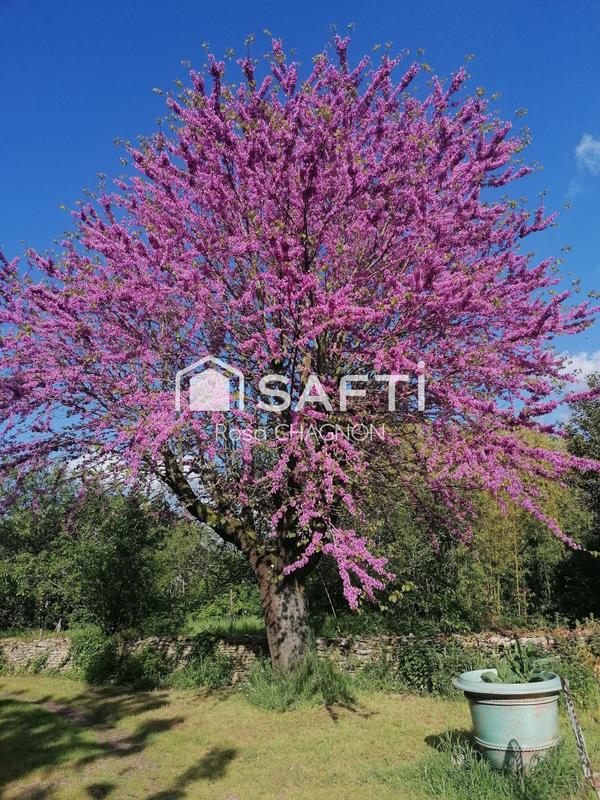 Maison - 229 m² - 7 pièces