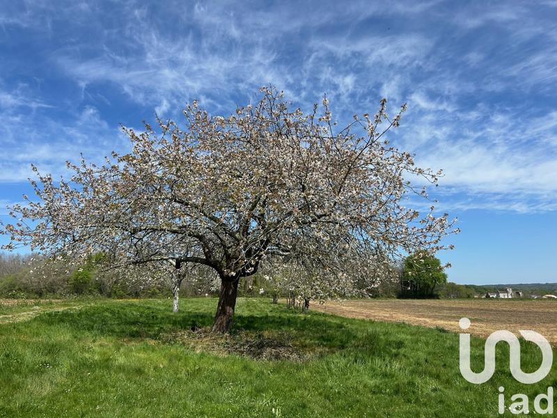 Maison de campagne - 106 m² - 5 pièces