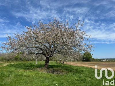Maison de campagne - 106 m² - 5 pièces