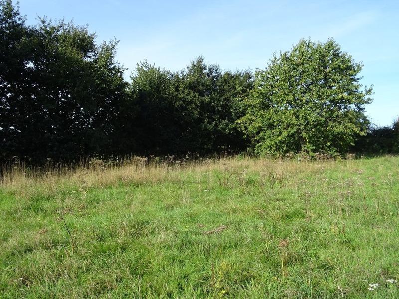 Terrain constructible - 1 535 m²