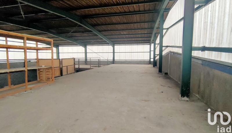 Local commercial - 1 724 m²