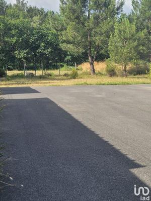 Local commercial - 220 m²