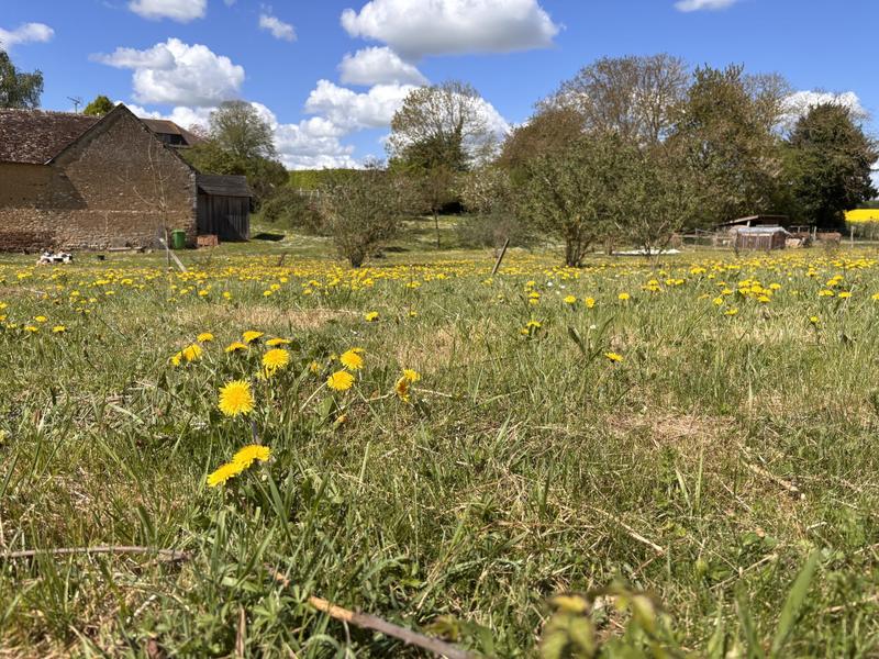 Ferme - 80 m² - 3 pièces