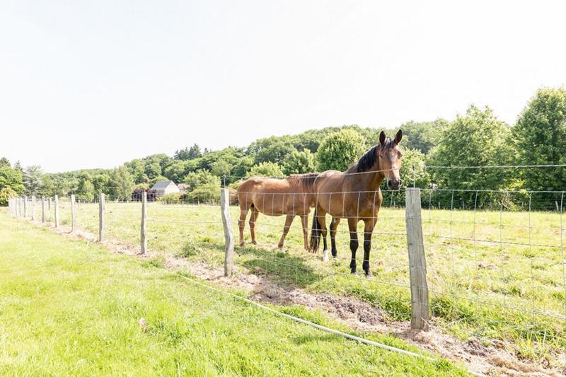 Maison - 240 m² - 8 pièces