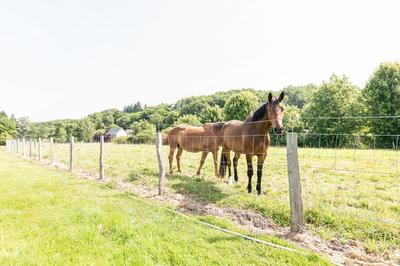 Maison - 240 m² - 8 pièces