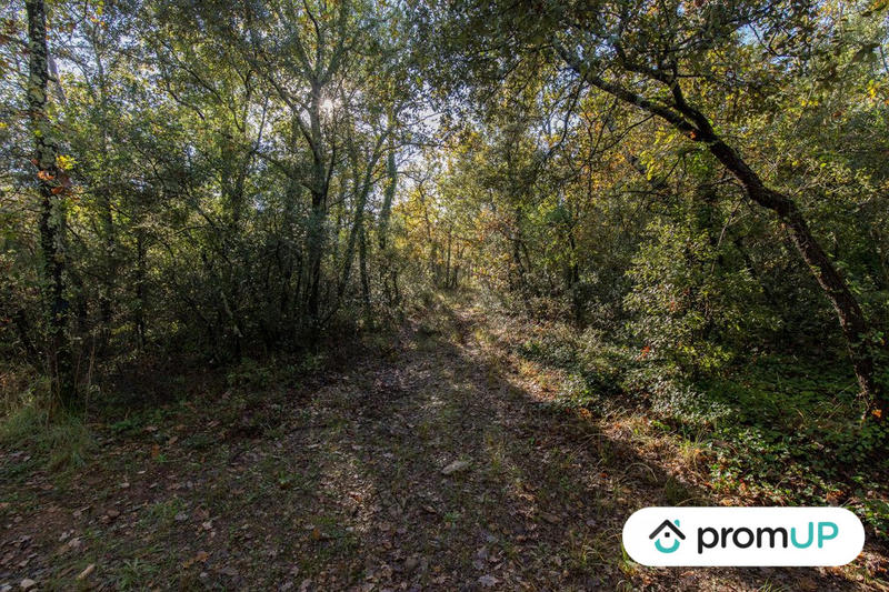 Terrain agricole - 9 625 m²