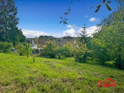 Maison ancienne - 135 m² - 5 pièces