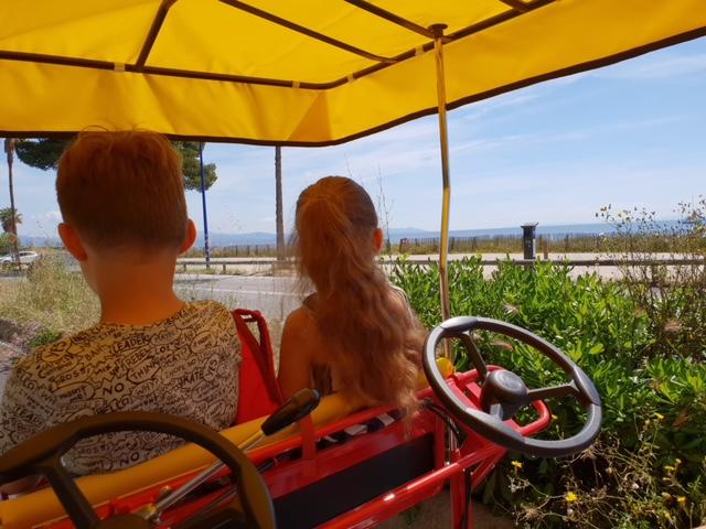 Les Rosalies d Hyères