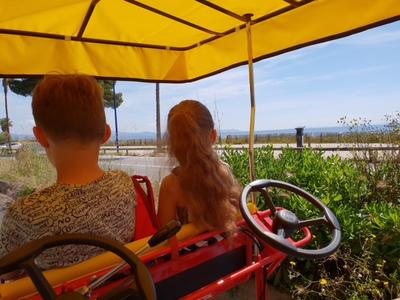 Les Rosalies d Hyères