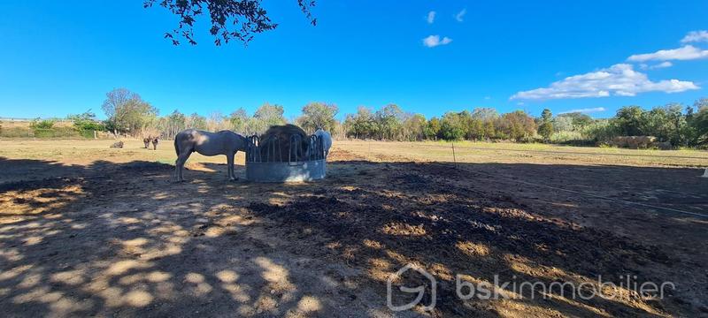 Propriété - 110 m² - 5 pièces
