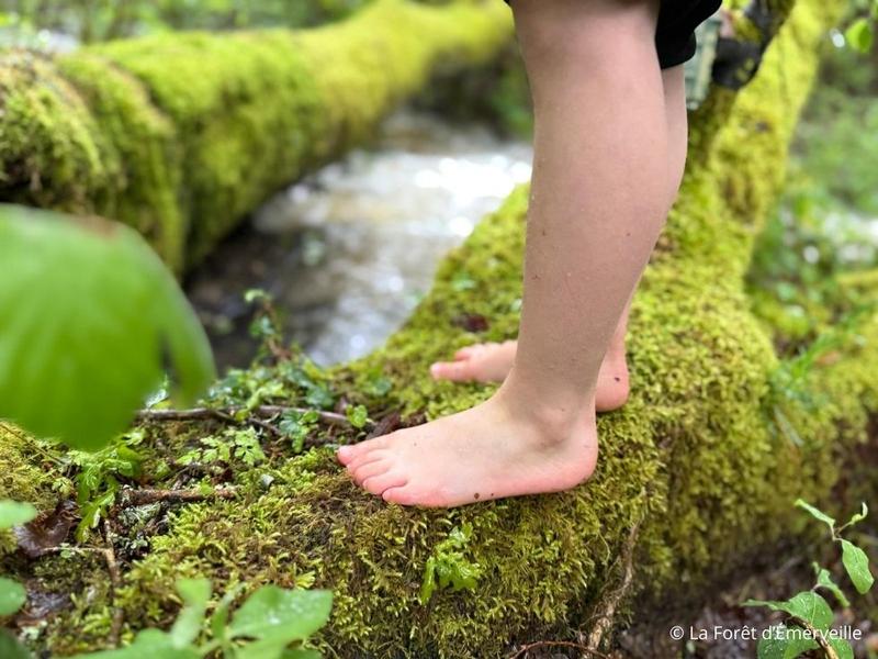 Sentier pieds nus en forêt