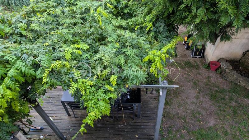 Maison ancienne - 115 m² - 6 pièces