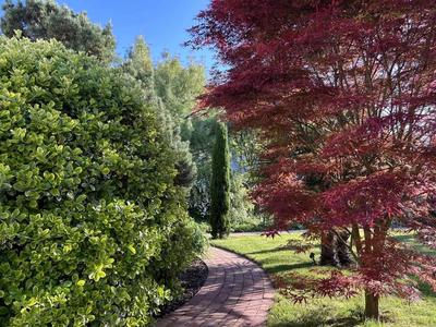 Maison - 204 m² - 7 pièces