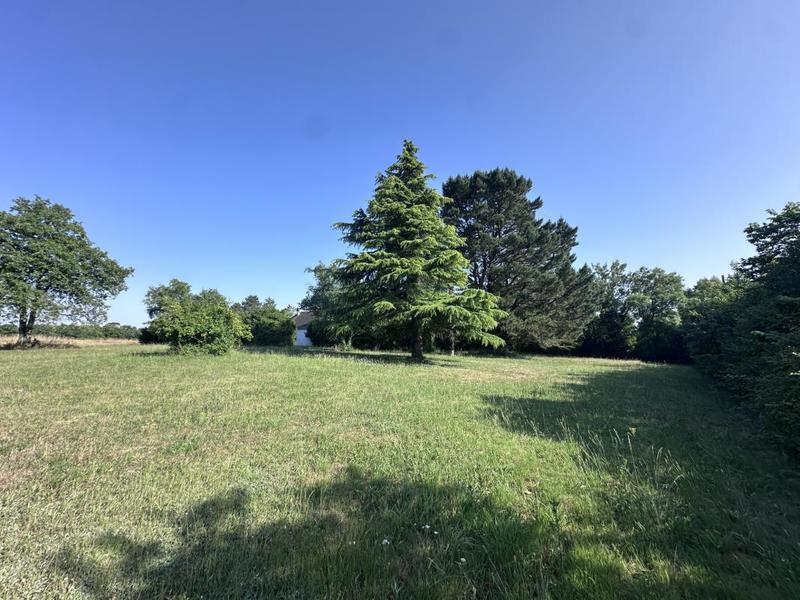 Maison de campagne - 110 m² - 5 pièces