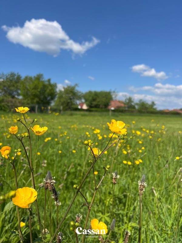 Maison ancienne - 250 m² - 1 pièce