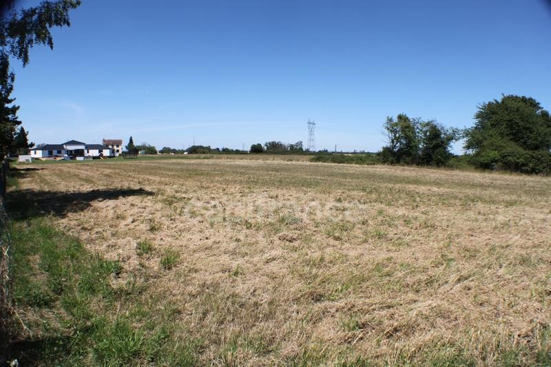 Terrain constructible - 3 553 m²