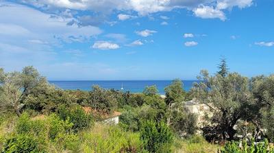 Appartement - 56 m² - 2 pièces