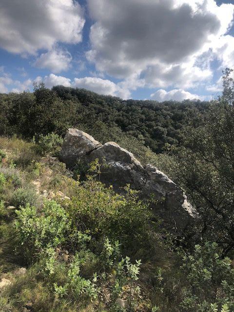 Terrain - 11 260 m²