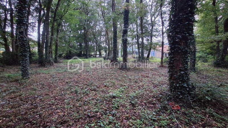 Maison ancienne - 78 m² - 4 pièces