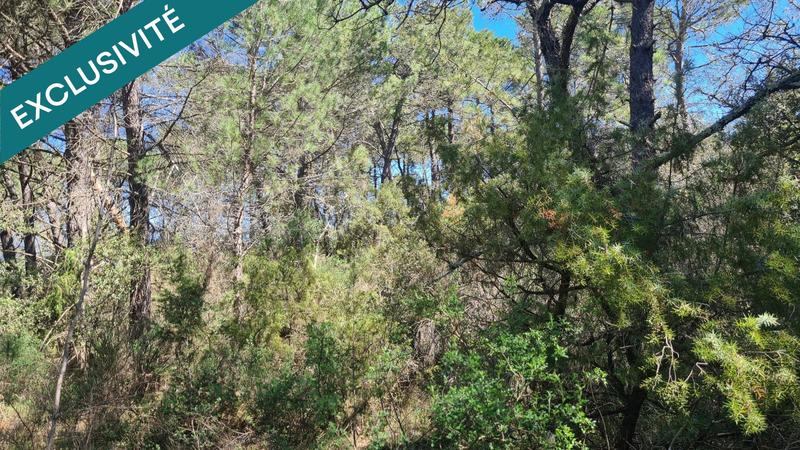 Terrain agricole - 11 480 m²