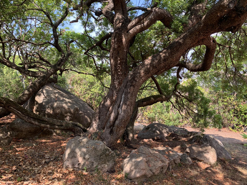 Villa - 85 m² - 4 pièces